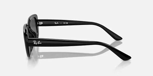 Lente De Sol RB Bio-Based Rb4421D Negro Negro