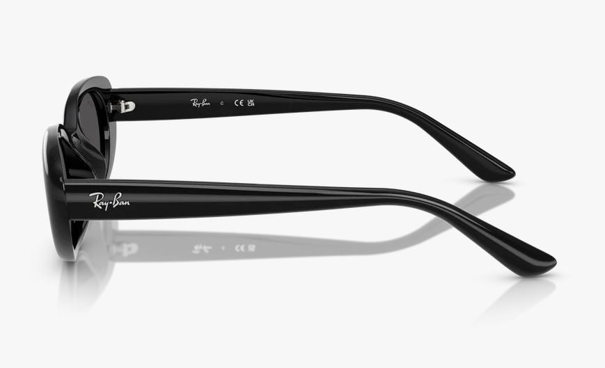 Lente De Sol RB Bio-Based Rb4441D Negro Negro