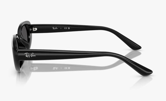 Lente De Sol RB Bio-Based Rb4441D Negro Negro