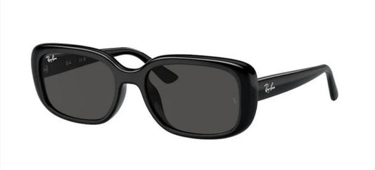 Lente De Sol RB Bio-Based Rb4421D Negro Negro